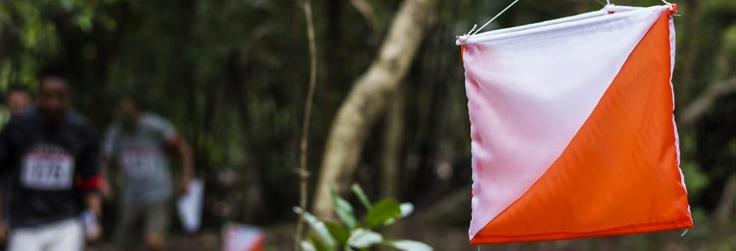 Artikkelbilde til artikkelen Kurs i orientering